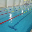 서울덕수초교 수영장 이미지