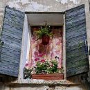 러브 오브 마이라이프 이미지