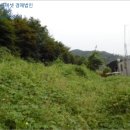 비령이천 네이버블로그