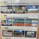 오렌지테니스24