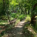 무양성(무한성) 이미지