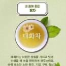 계절따라 - 남구 | 계절따라