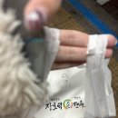 장호덕 손만두 상리점 네이버블로그