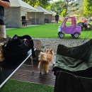 자유공간식당 이미지