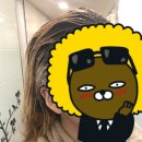 엘리스 헤어 (Alice Hair)