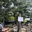 카사벨라 | 김해 장유 정원 카페 카사벨라 방문후기 내돈내산