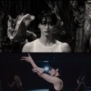 성화로 스타뉴스
