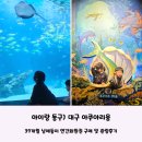 아이랑 동구) 비오는 날 가기 좋은 &#39;대구아쿠아리움&#39; 연간회원권 구매 및 관람후기
