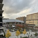 캔버스(CANVAS)(캔버스호스텔화이트) | 교토 시내 가성비 호텔 추천 '더 로얄 파크 캔버스 교토 니조' 후기