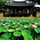 조선의 아름다운 선비들 이미지