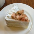 세븐일레븐 부산조방점 | 2025. 8月 (1)