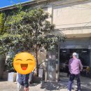 안성정미소 | 전남 완도 부자관 _ 40년 업력의 동네 중국집, 옛날식 탕수육과 짜장, 육개장, 볶음밥 후기