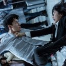 비밀의숲 이미지