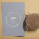 올인원 고체 바디워시 이미지