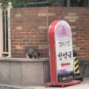 송파한약국 이미지