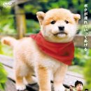 부흥농장 이미지