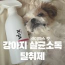 똥싼 강아지 | 강아지오줌냄새제거 바이엑스 펫 강아지탈취제 솔직후기(살균소독, 무향)