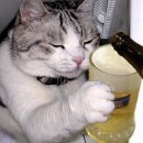 맥