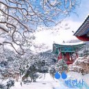 강진-40 | 여행비용 40% 환급 꿀팁! 1박에 20만 원 버는 법, 2026 전남 강진 여행 가이드