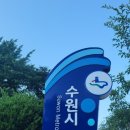 (정당용)정조사거리 | 수원에 가 볼 만한 곳 을 아십니까