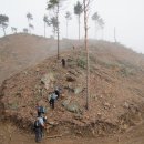 화당보건진료소 이미지