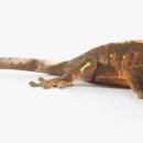 이수동물병원 이미지