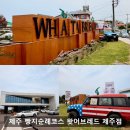 제주 빵지순례 필수코스! 왓어브레드 제주 크로찌 원조 후기