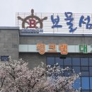 통영활어회도매센타 | 대전맛집 보물섬수산, 신선한 활어회와 푸짐한 스끼다시가 만족스러웠던 회식 명소 후기