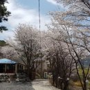 금산식당 이미지