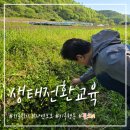 일상을 바꾸는 생태·환경 교육 | 2025 서울 생태전환교육 한마당 함께라면 가능해