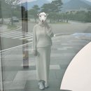 설빙속초점 이미지