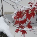 전라도밥집 이미지