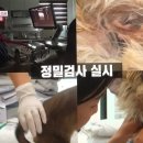 동물자유연대 부속 동물병원 이미지