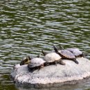 거북선 앞 이미지