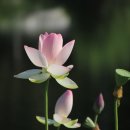 주식회사 시온 이미지