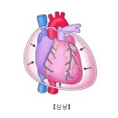 미소들노인전문병원 이미지
