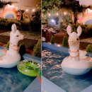 해~랑펜션 네이버블로그
