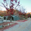 THATS CAMPING 횡성자연휴양림야영장 이미지