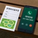 양평파크골프장 | 양평파크골프장, 81홀의 위엄! 예약·요금·코스·후기까지 한눈에 파헤치기