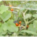 참빛농장 이미지