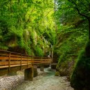 세이보석 이미지