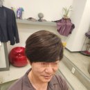 논현가발 잘하는 시스템엘르 강남본점 후기