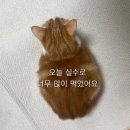 뿡빵뿡
