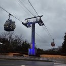 순천은병원 | 전남 여수 애견동반여행 일지 +순천 순복음교회 홍매화까지