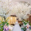 인천지하철1호선 센트럴파크역 | 송도 센트럴파크호텔 워터폴홀 본식 서브스냅, 자연스러운 순간을 담다 by 놀러와스타일