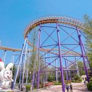 서울랜드 이미지