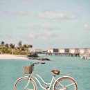 쏠발전소 이미지