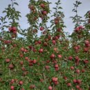 우진영농조합법인 이미지