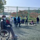 제24회 여수시장애인생활체육 론볼대회 이미지
