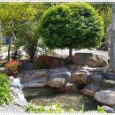 숲속펜션 이미지